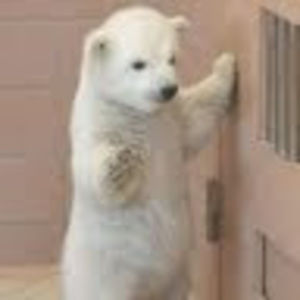 Meet your Posher, Andy